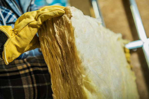 Best Residential Insulation in Algonquin, IL