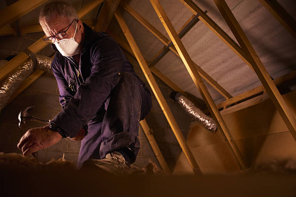 Professional Insulation Contractor in Algonquin, IL