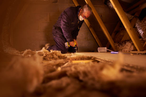 Best Blown-in Insulation in Algonquin, IL